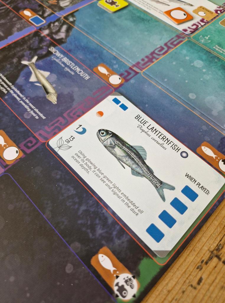 Finspan board
