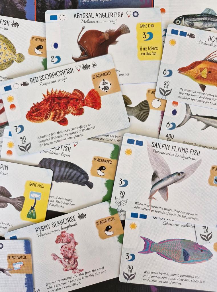 Finspan Cards